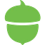 Acorns