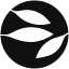 Alveus Therapeutics
