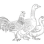 Ferme Schmitt