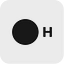 H Company
