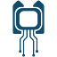 Iadys