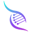 Nucleo