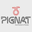 Pignat