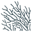 PlantSea