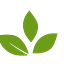 Recupyl