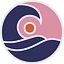 Rippletide