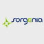 Sorgenia