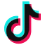 TikTok USDS JV