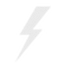 Zelus