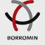 Borromin Capital Management