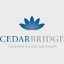 CedarBridge Capital Partners