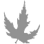Silver Investment Partners